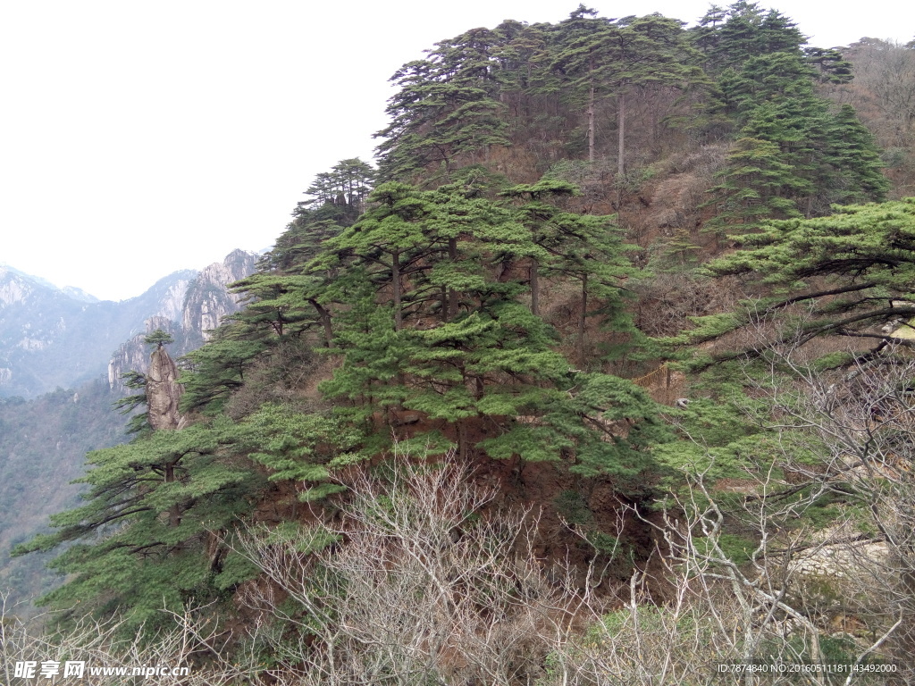 黄山