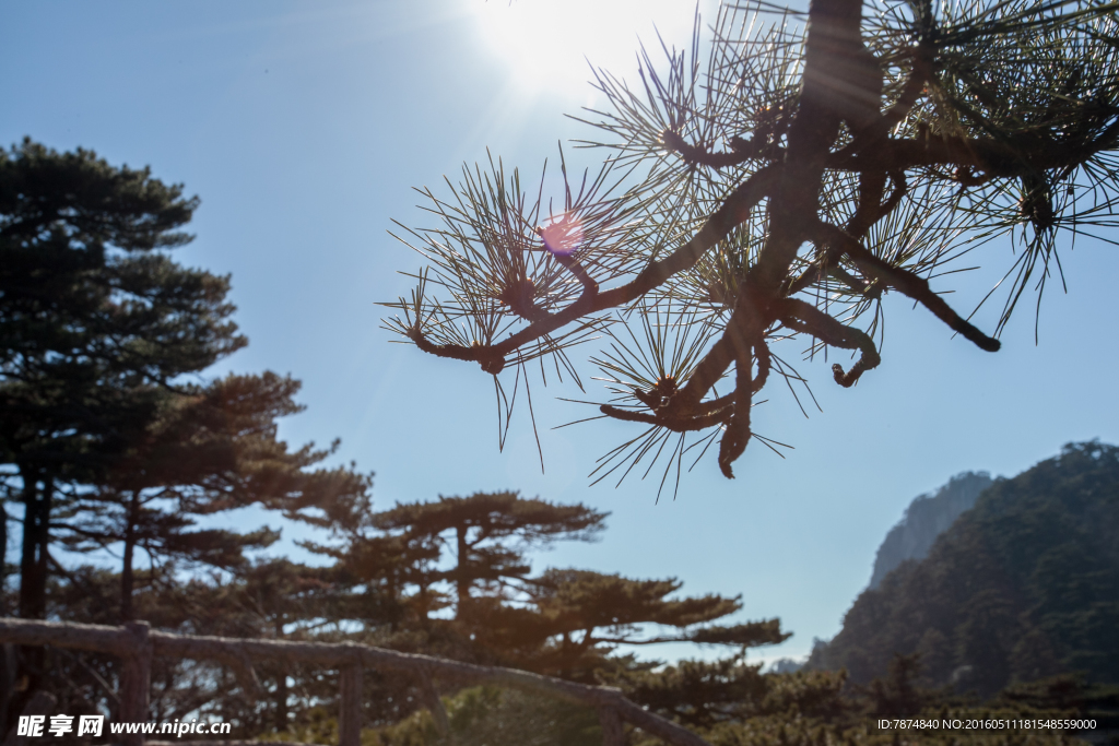 黄山