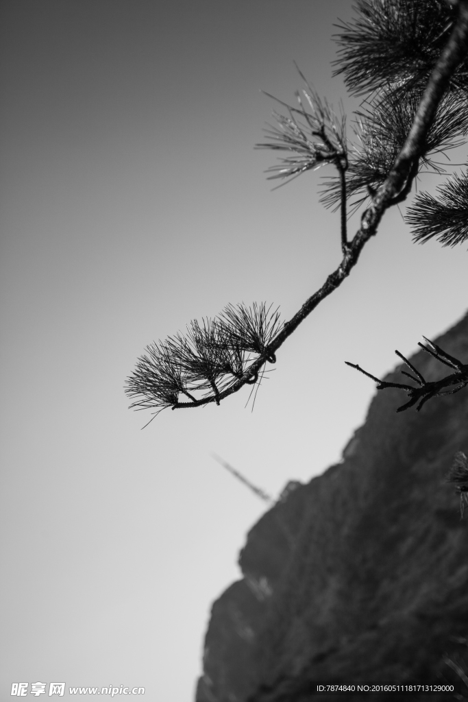 黄山