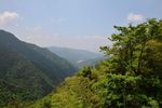 山景