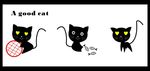 小猫咪