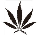 树叶