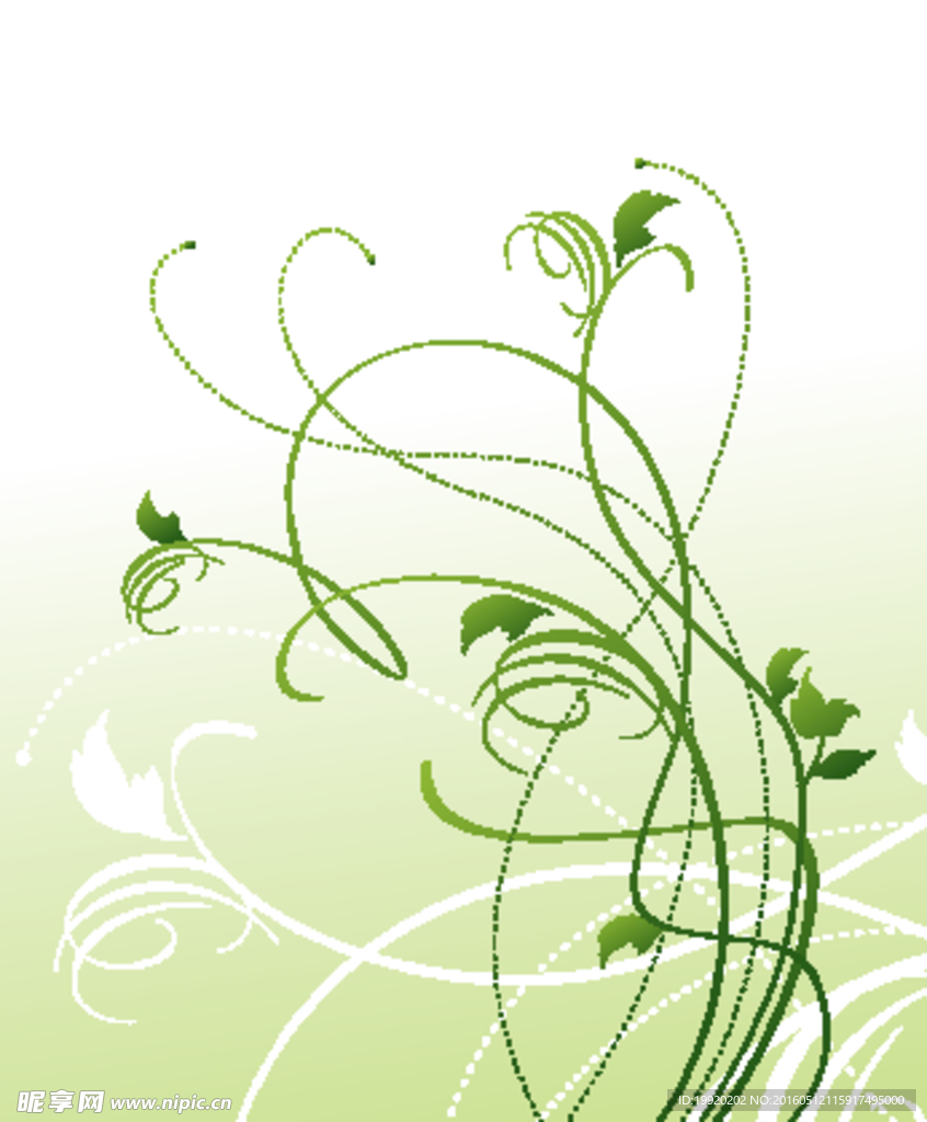 花纹