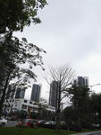 高楼大厦