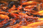 舟山群岛风光