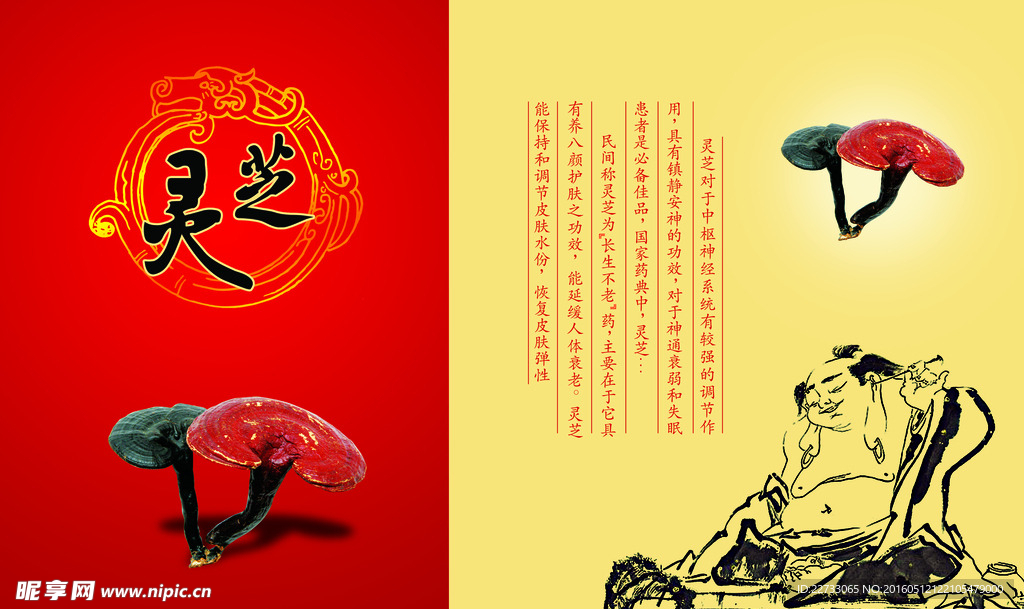 灵芝主题画册PSD分层素材