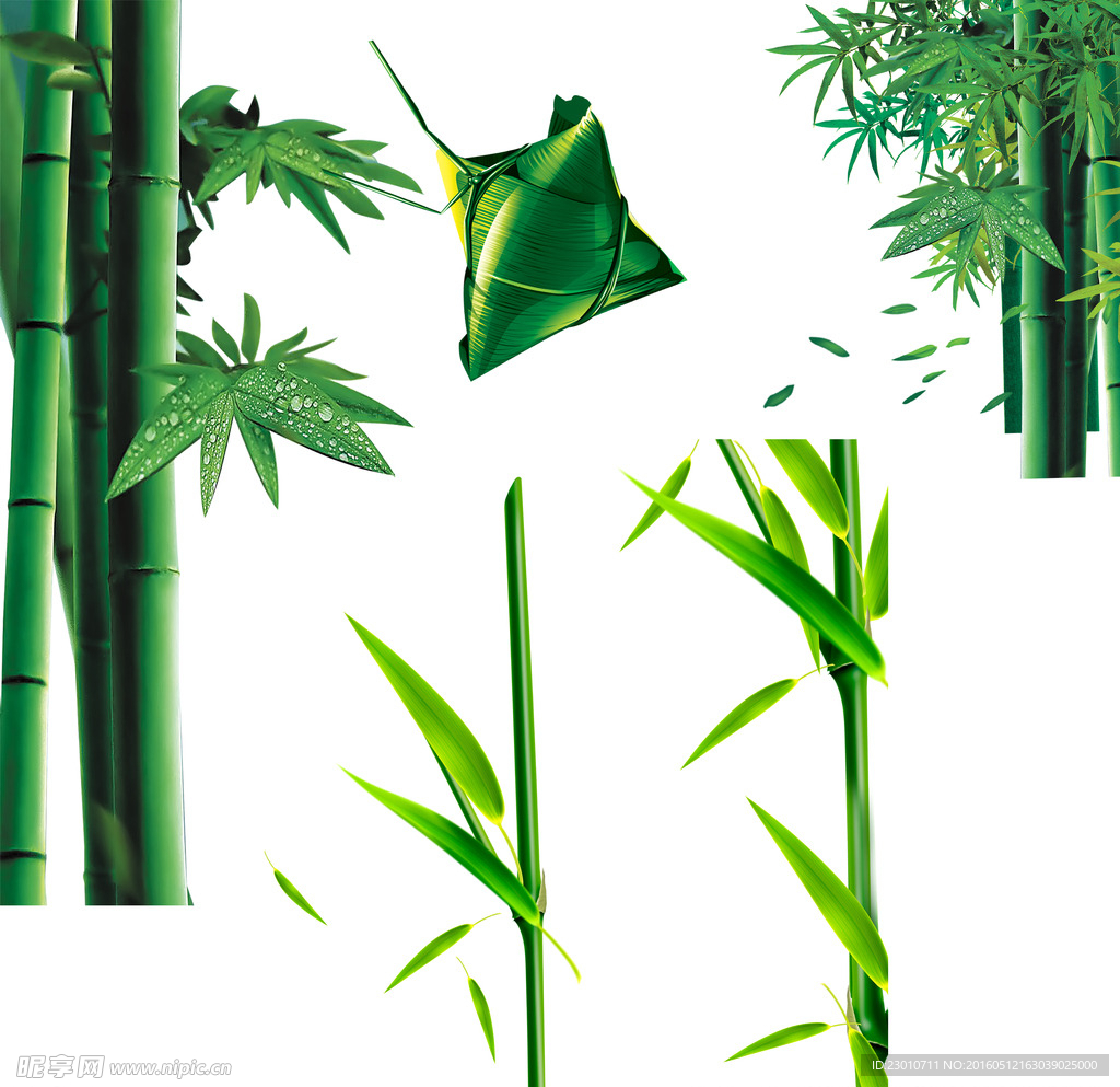 绿色竹子 粽子