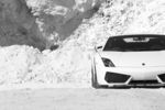 兰博基尼 Gallardo
