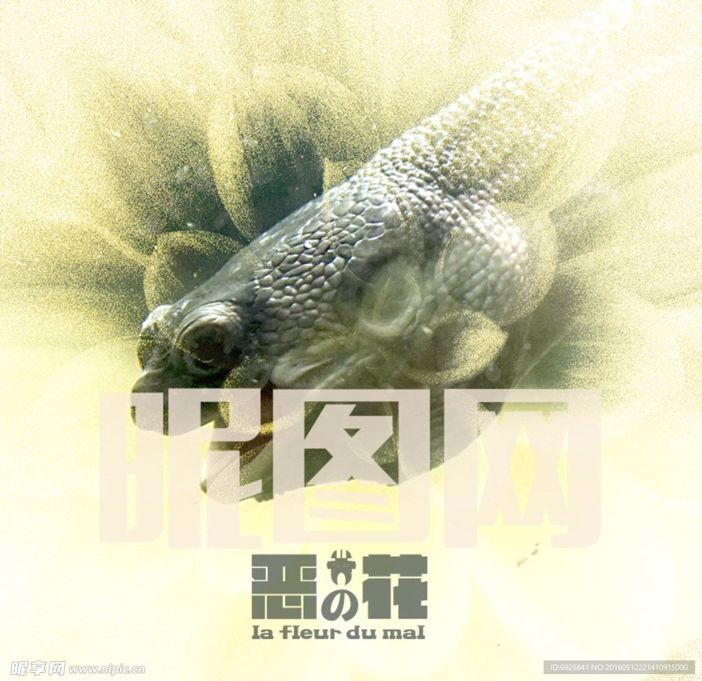 创意合成作品恶之花