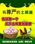 土鸡蛋优惠卡