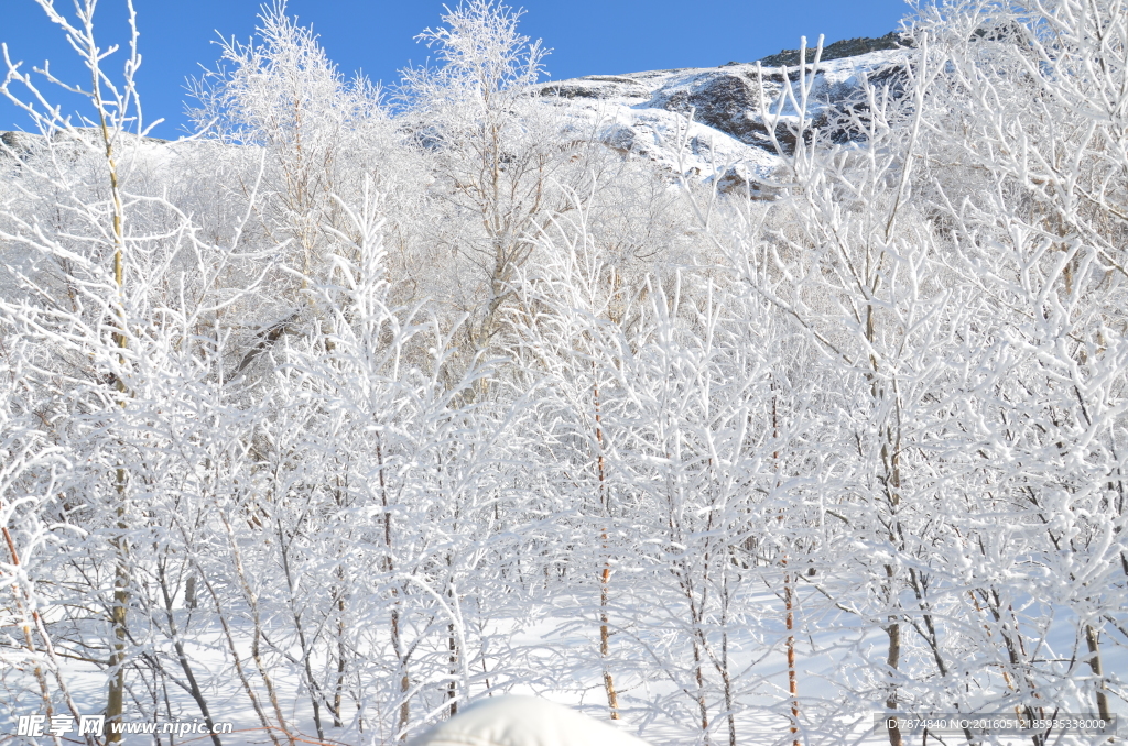 长白山