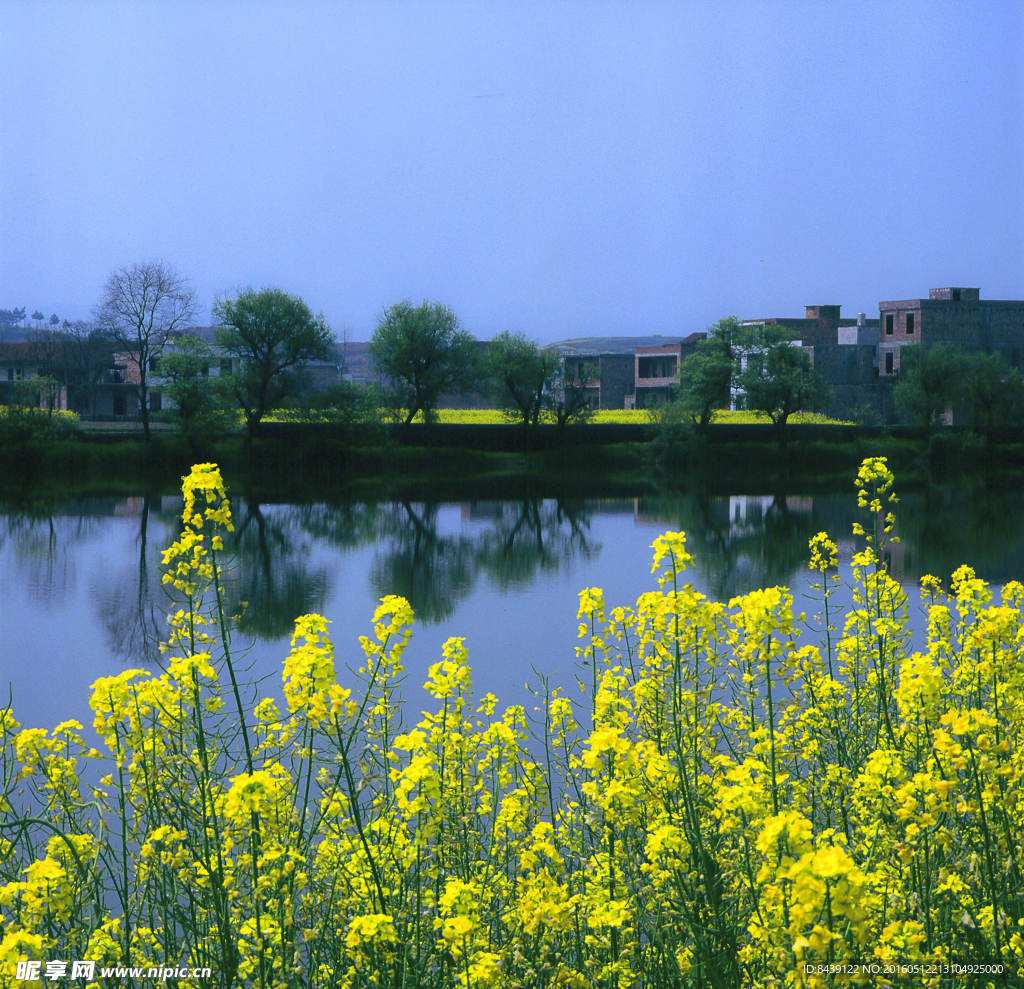 田园自然风景