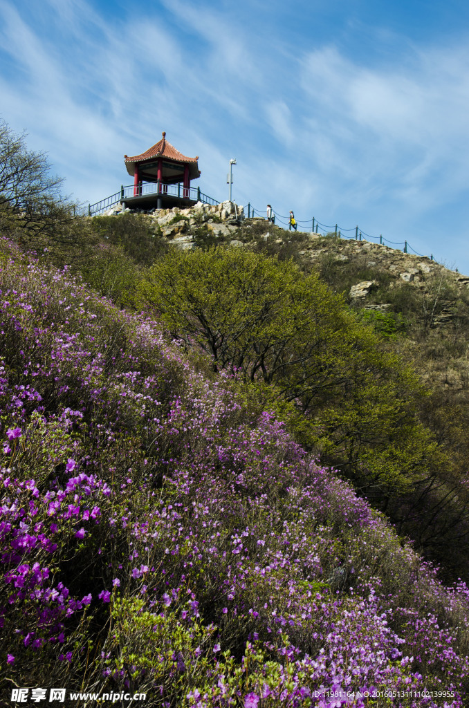 大黑山