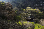 寺庙