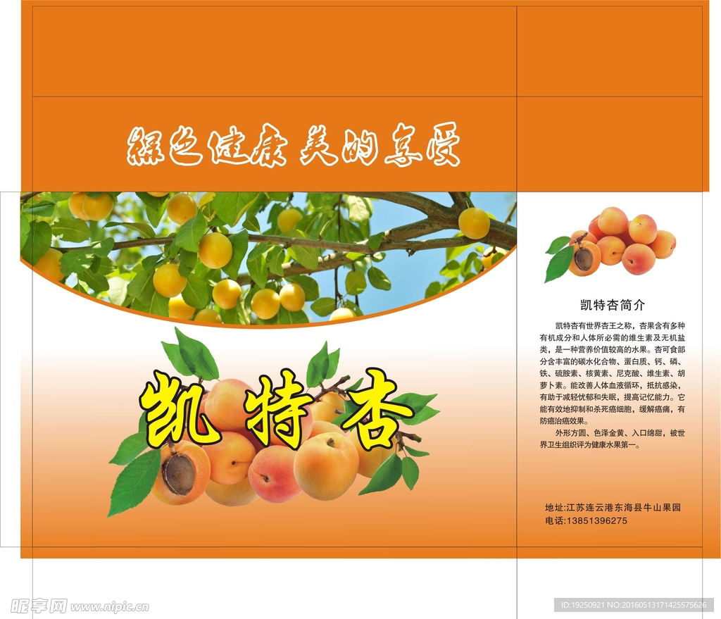 凯特杏包装