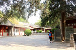 嵩阳书院