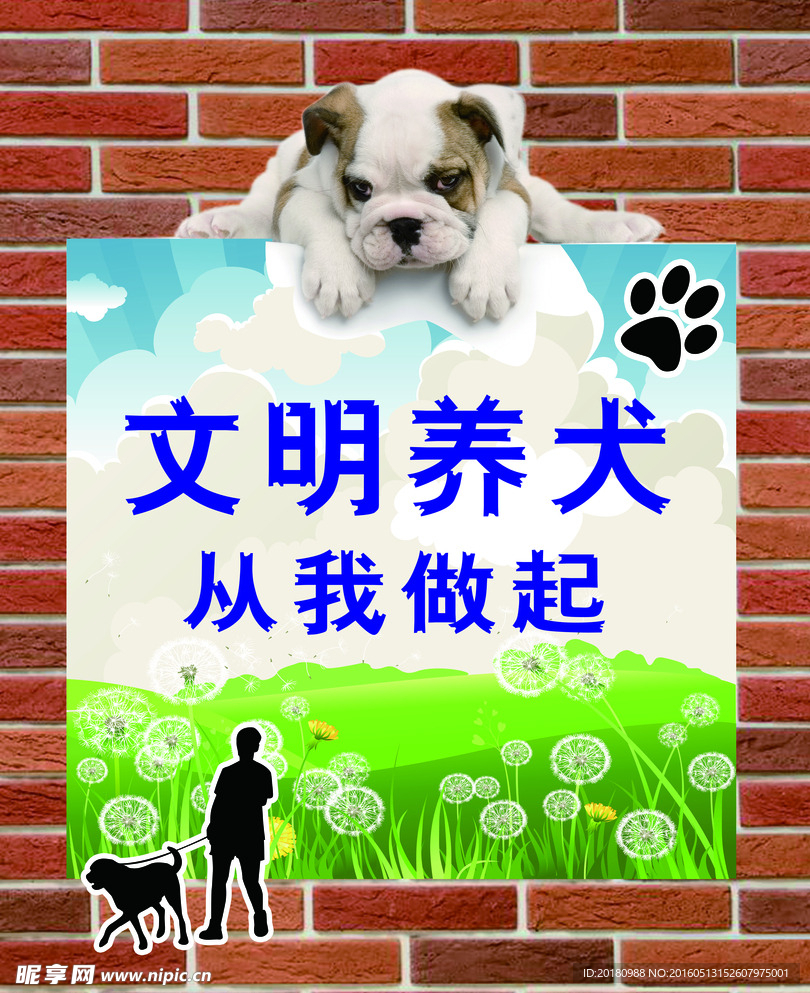 文明养犬