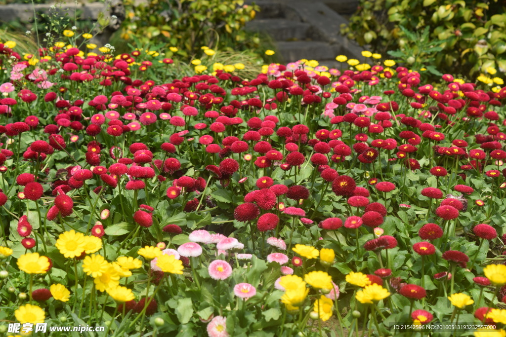 小花