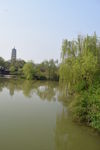瘦西湖