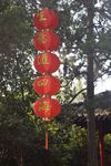 灯笼