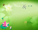 绿色荷花背景