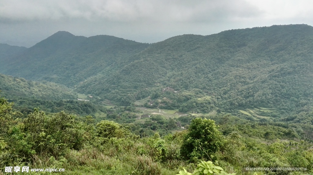 高山牧场