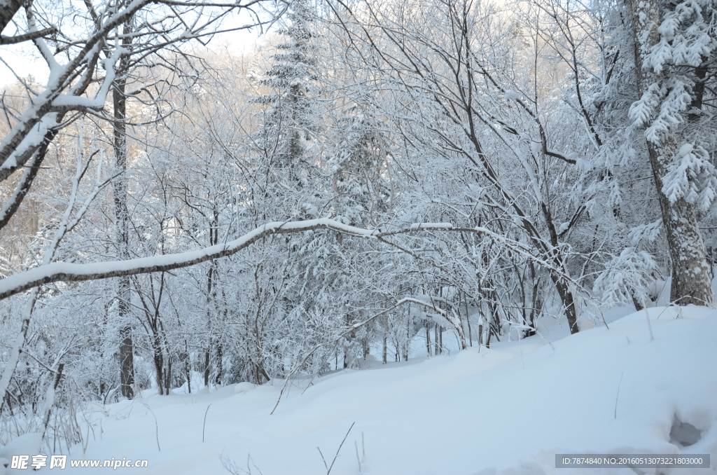 雪乡