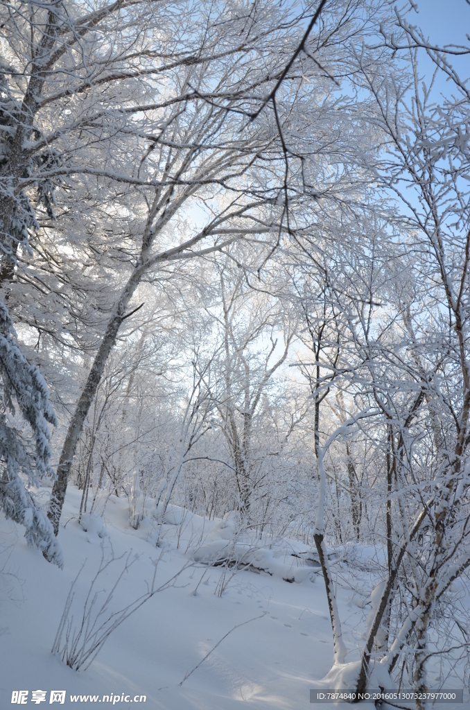 雪乡