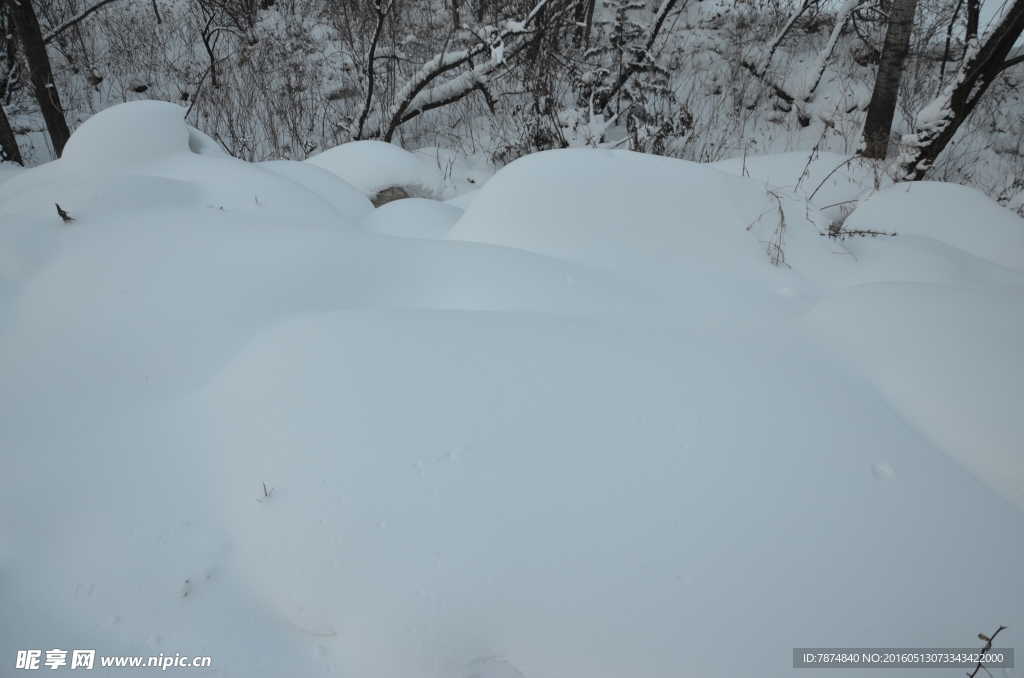 雪乡