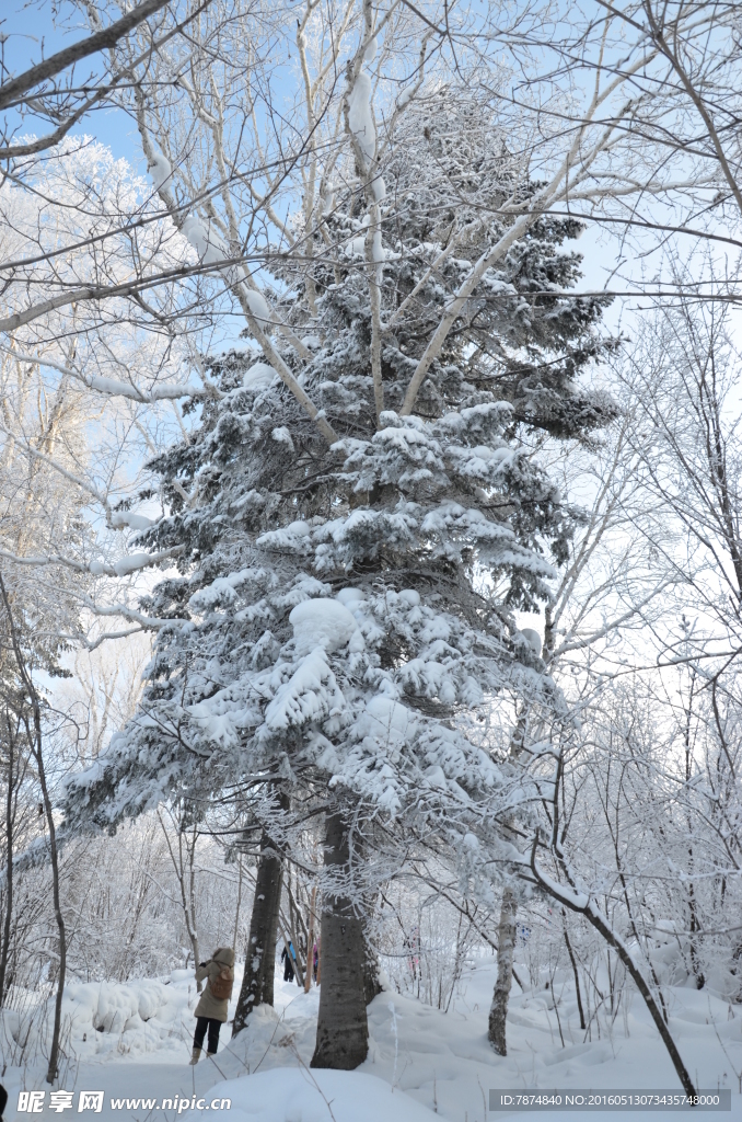 雪乡
