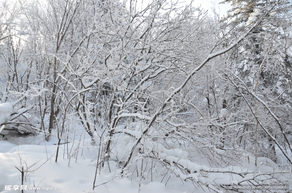 雪乡