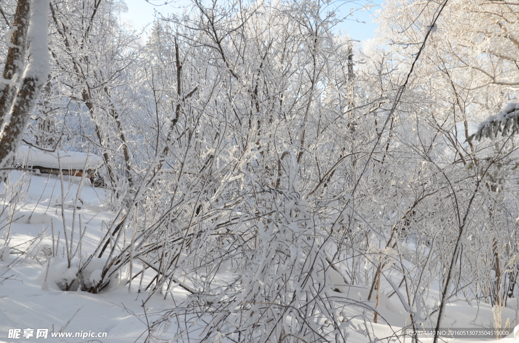 雪乡
