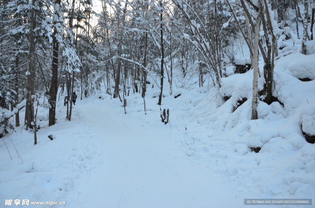 雪乡