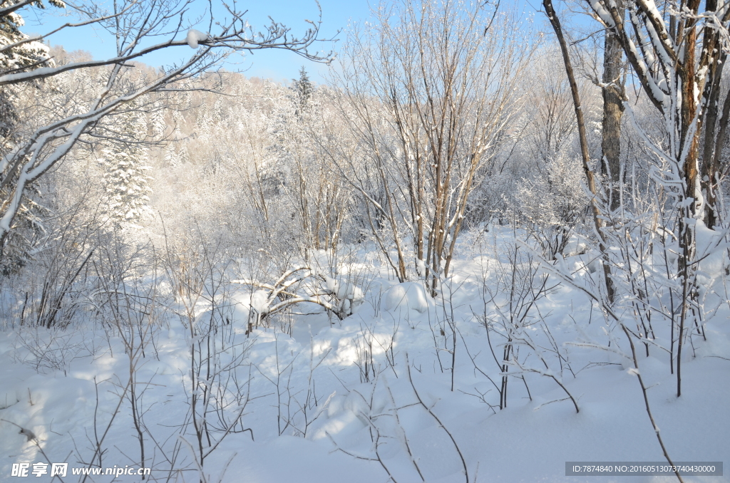 雪乡