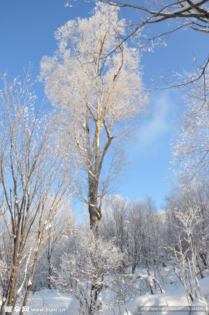 雪乡