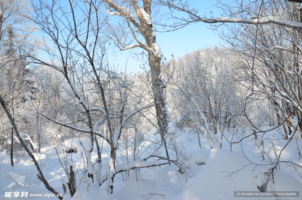 雪乡