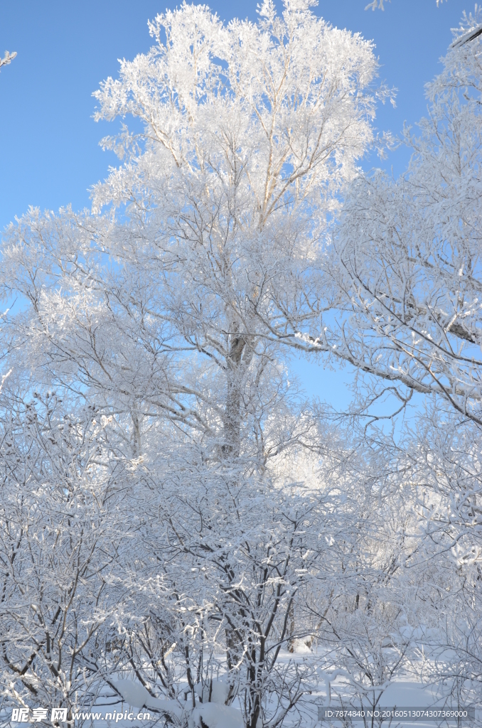 雪乡