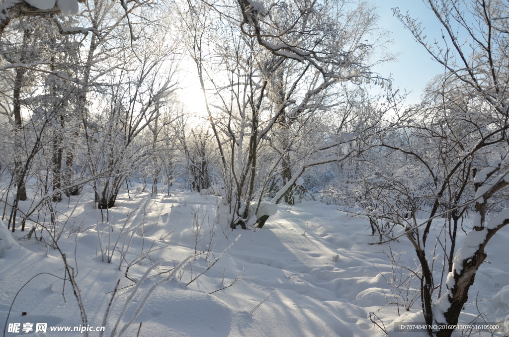 雪乡