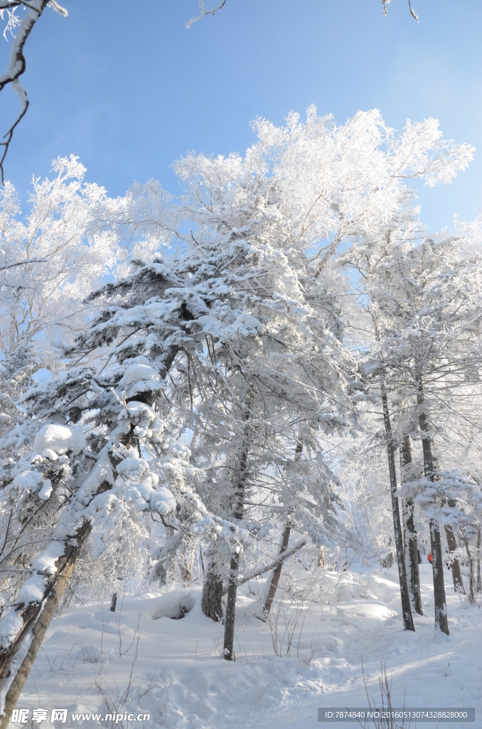 雪乡