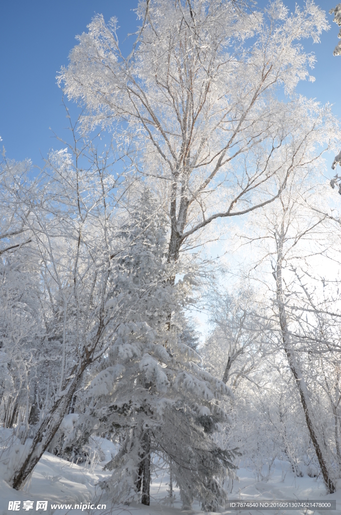雪乡