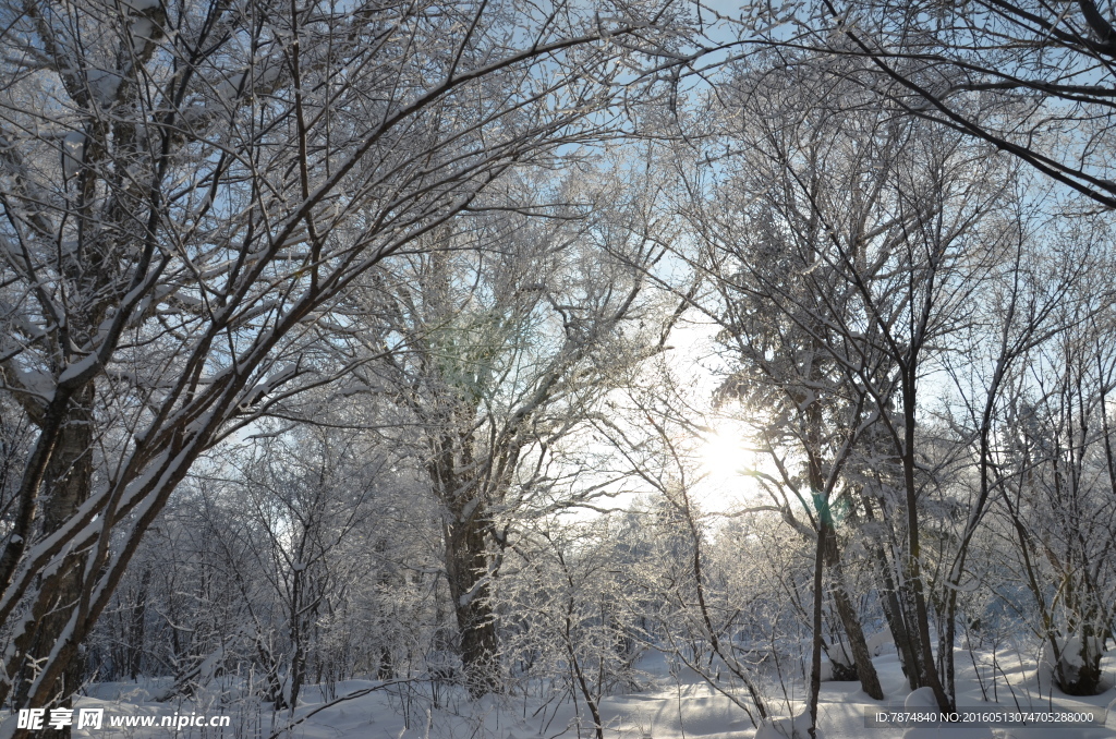 雪乡