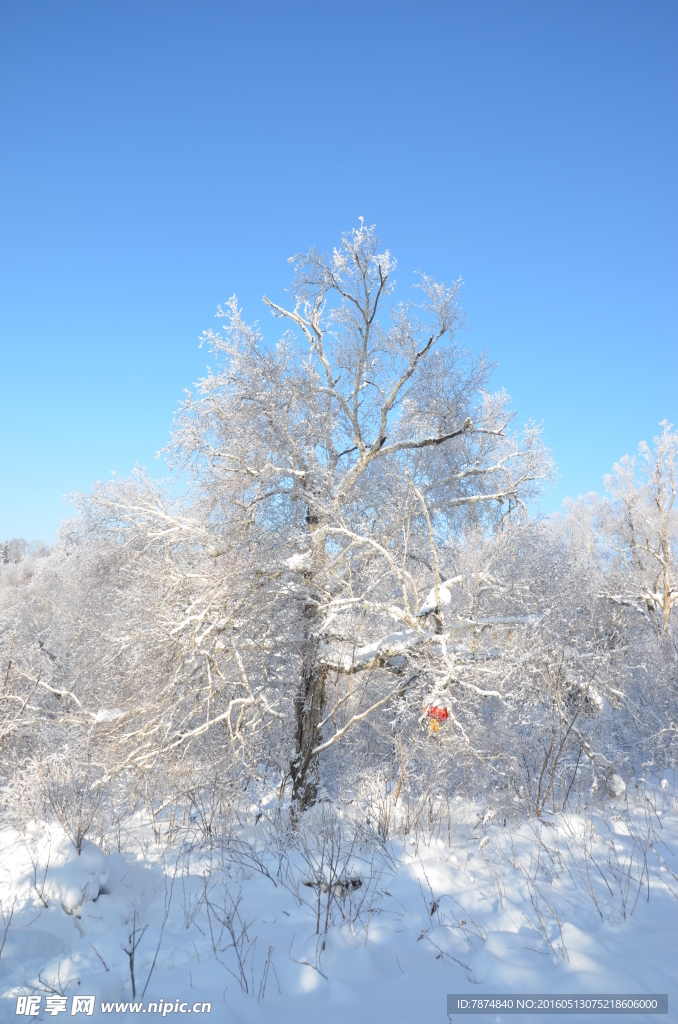 雪乡