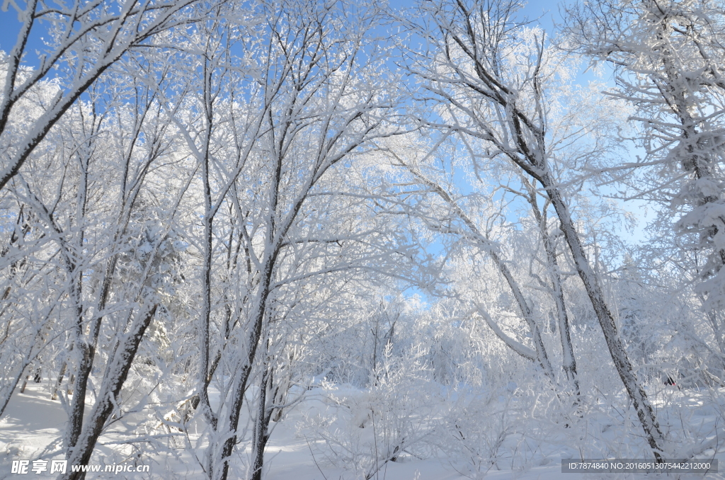 雪乡