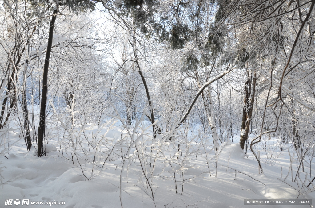 雪乡