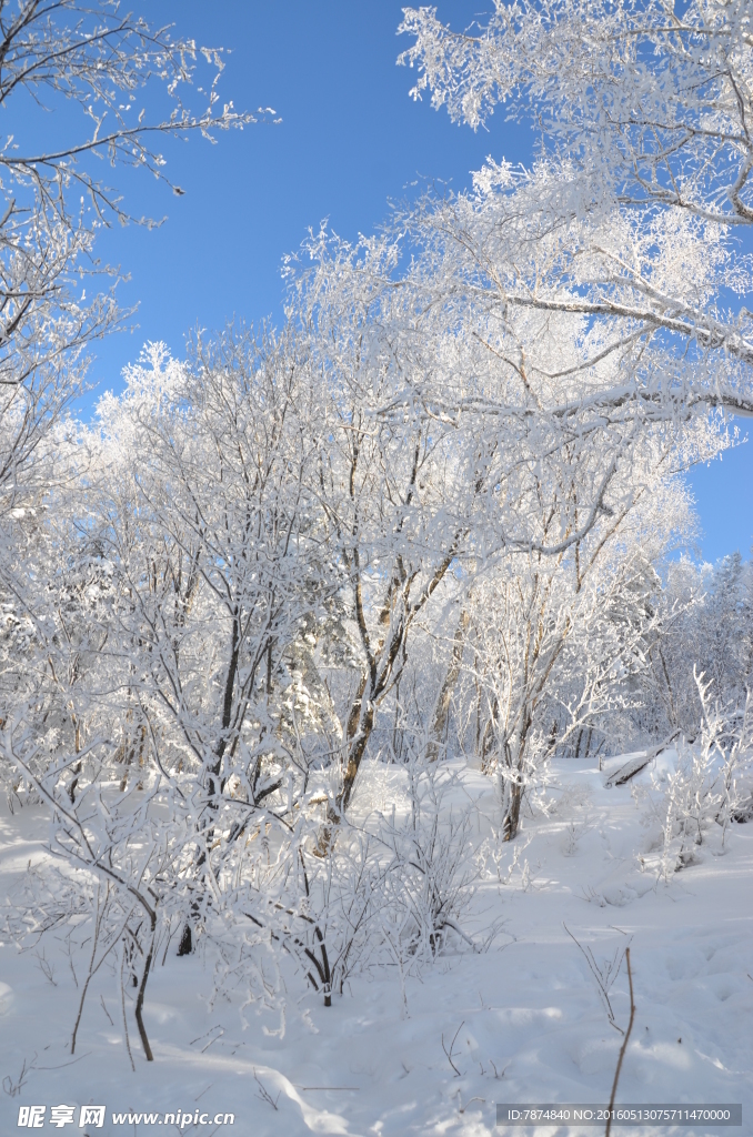 雪乡