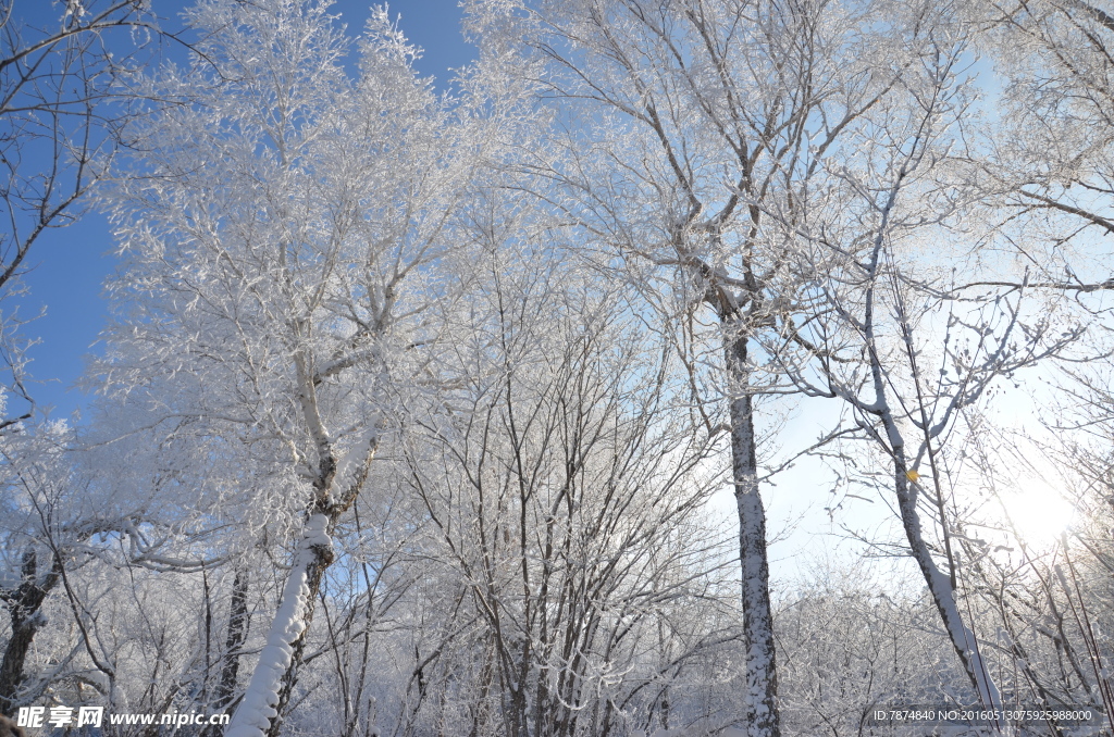 雪乡