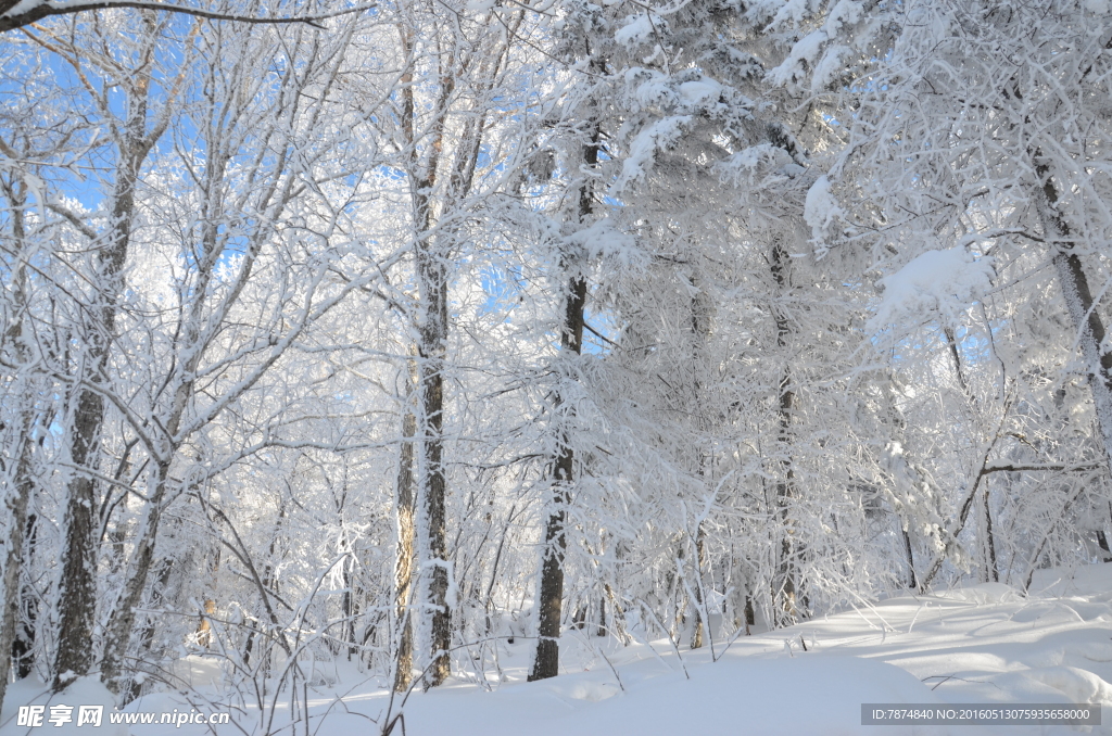 雪乡
