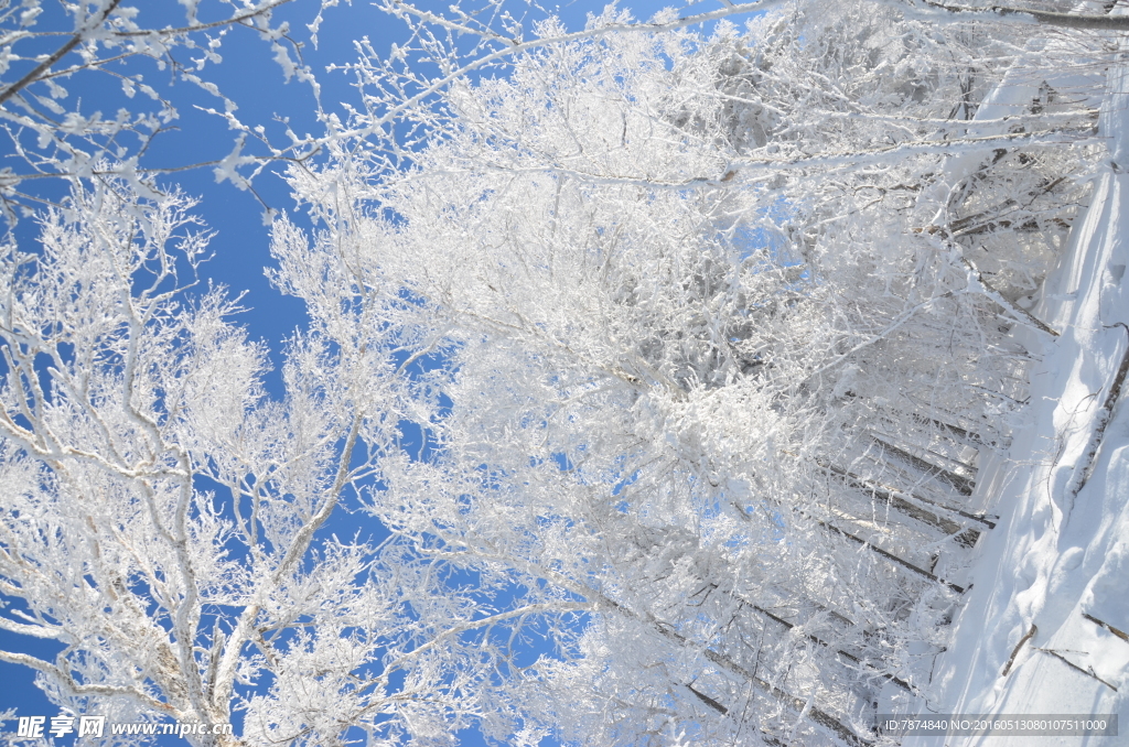 雪乡