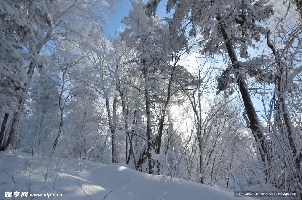 雪乡