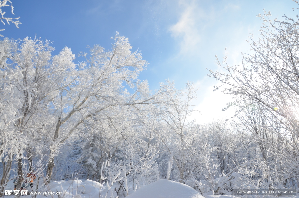 雪乡